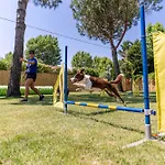 Luxussátor Glamping *