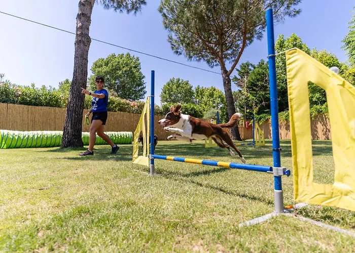 Lüks kamp alanı Glamping *